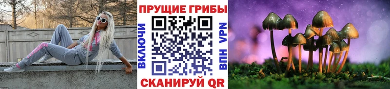 Галлюциногенные грибы GOLDEN TEACHER  Карачаевск 